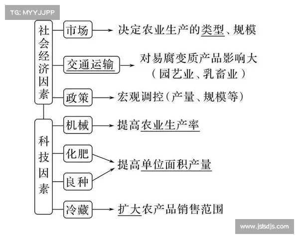 中小企业的生存困境:严格交税政策对中国经济的影响 中小企业的生存困境:严格交税政策对中国经济的影响
